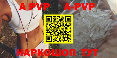 молекула духа Шелехов