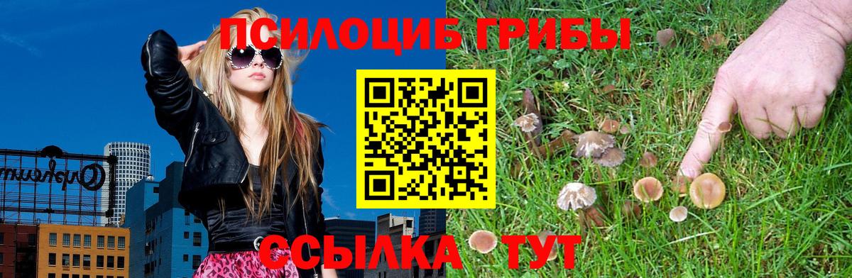 Галлюциногенные грибы GOLDEN TEACHER  Вход с VPN  Белебей 